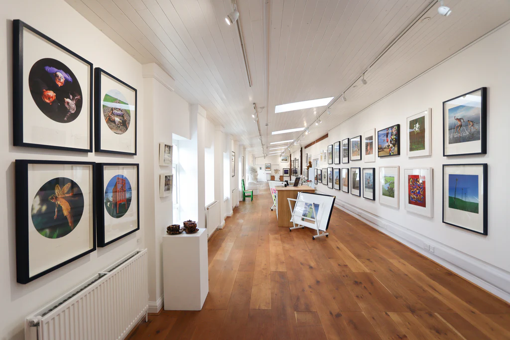 Elevate Your Space With Art